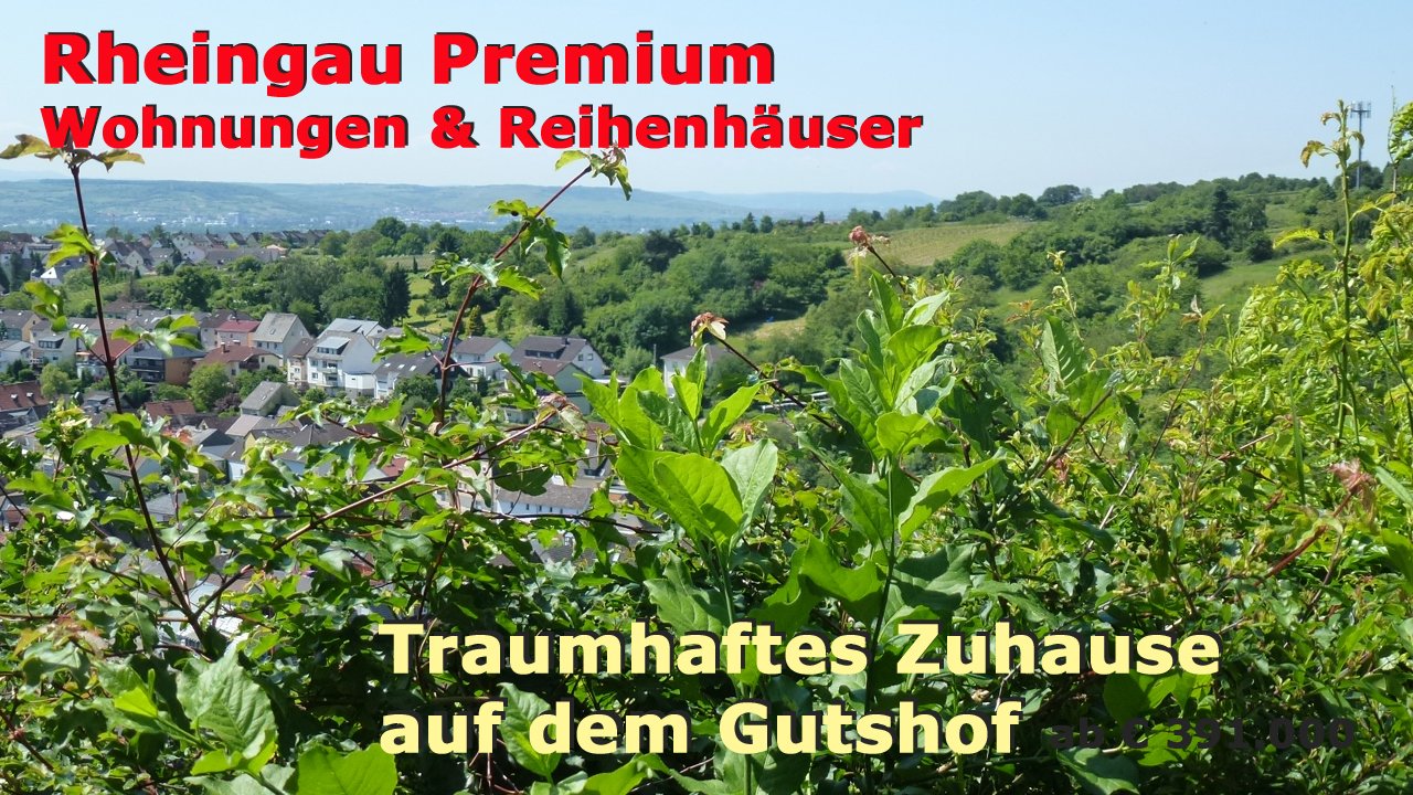 Traumhaftes Domizil im Weinort - Exklusive Anlage auf dem Gutshof