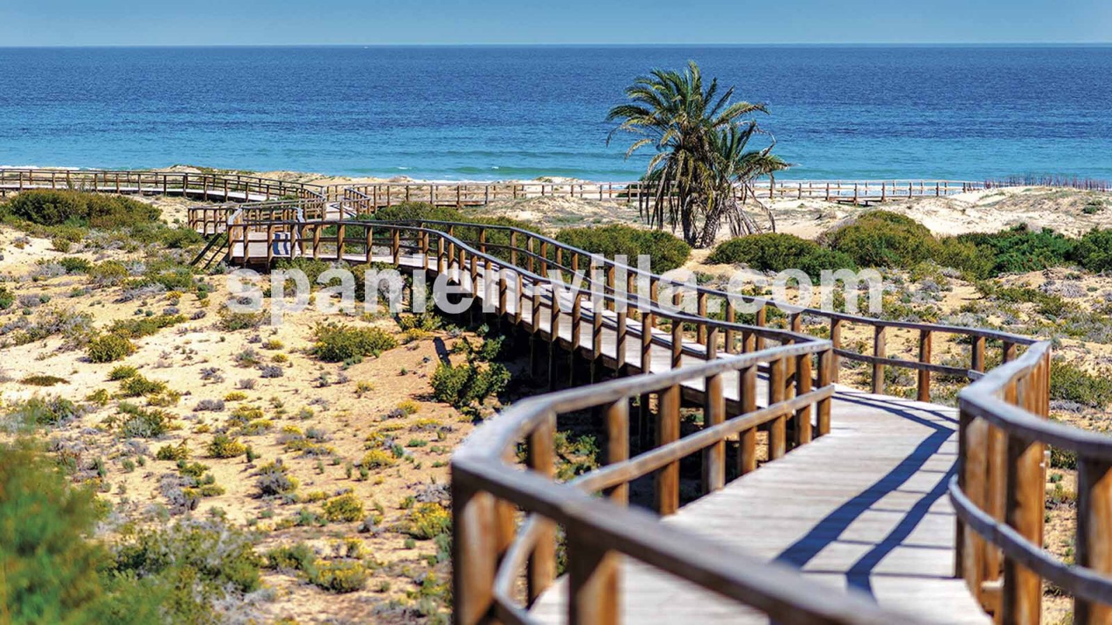  Neubau-Apartments bei Alenda Golf - nur 10 PKW-Minuten von Alicante + Meer