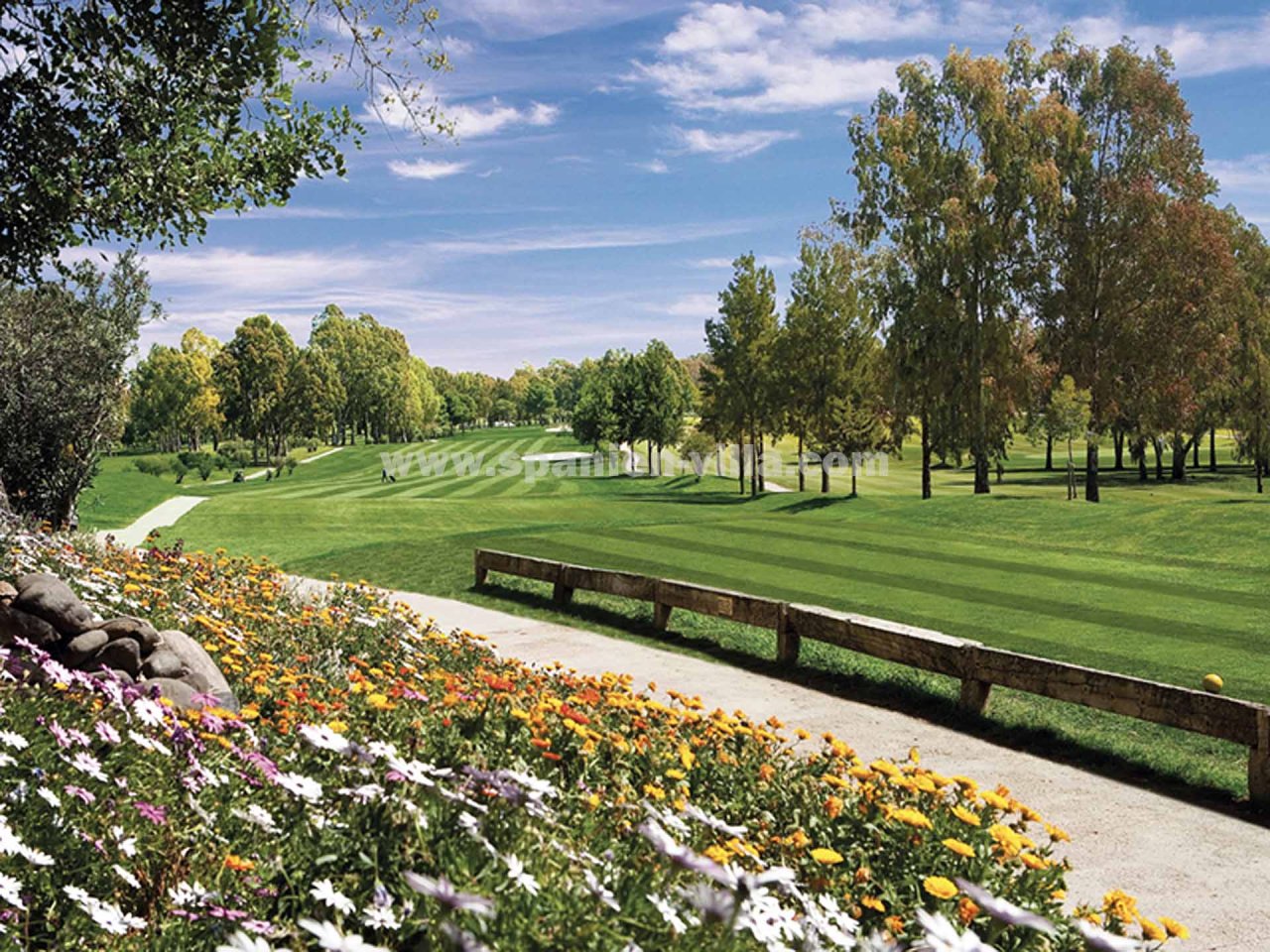 Golfplätze in der Nähe