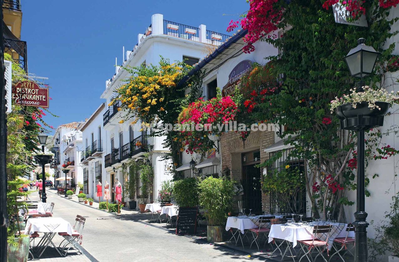 Marbella Calle Ancha Buganvillas