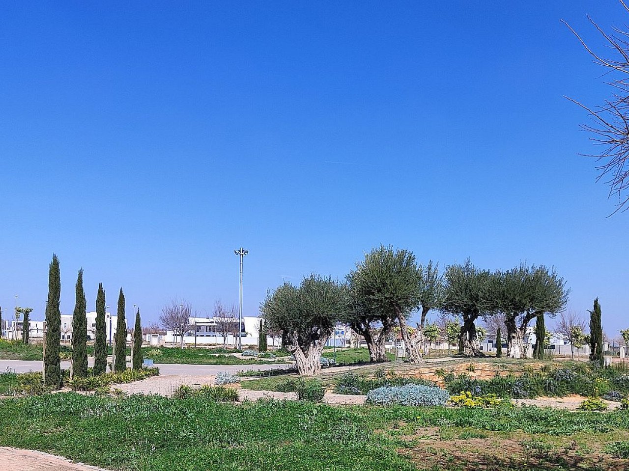 These new build modern apartments are located next to the golf courses in Torre Pacheco, in the heart of the Costa Cálida.You have a choice of tw...