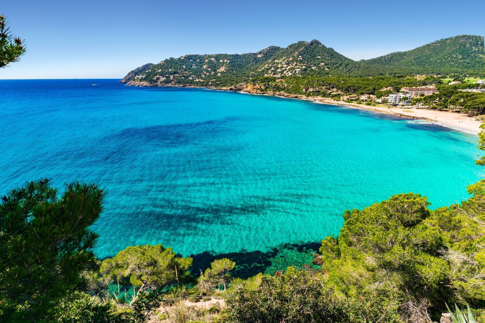 MALLORCA Nordost: Tolle NEUBAU-Apartments und Townhouses