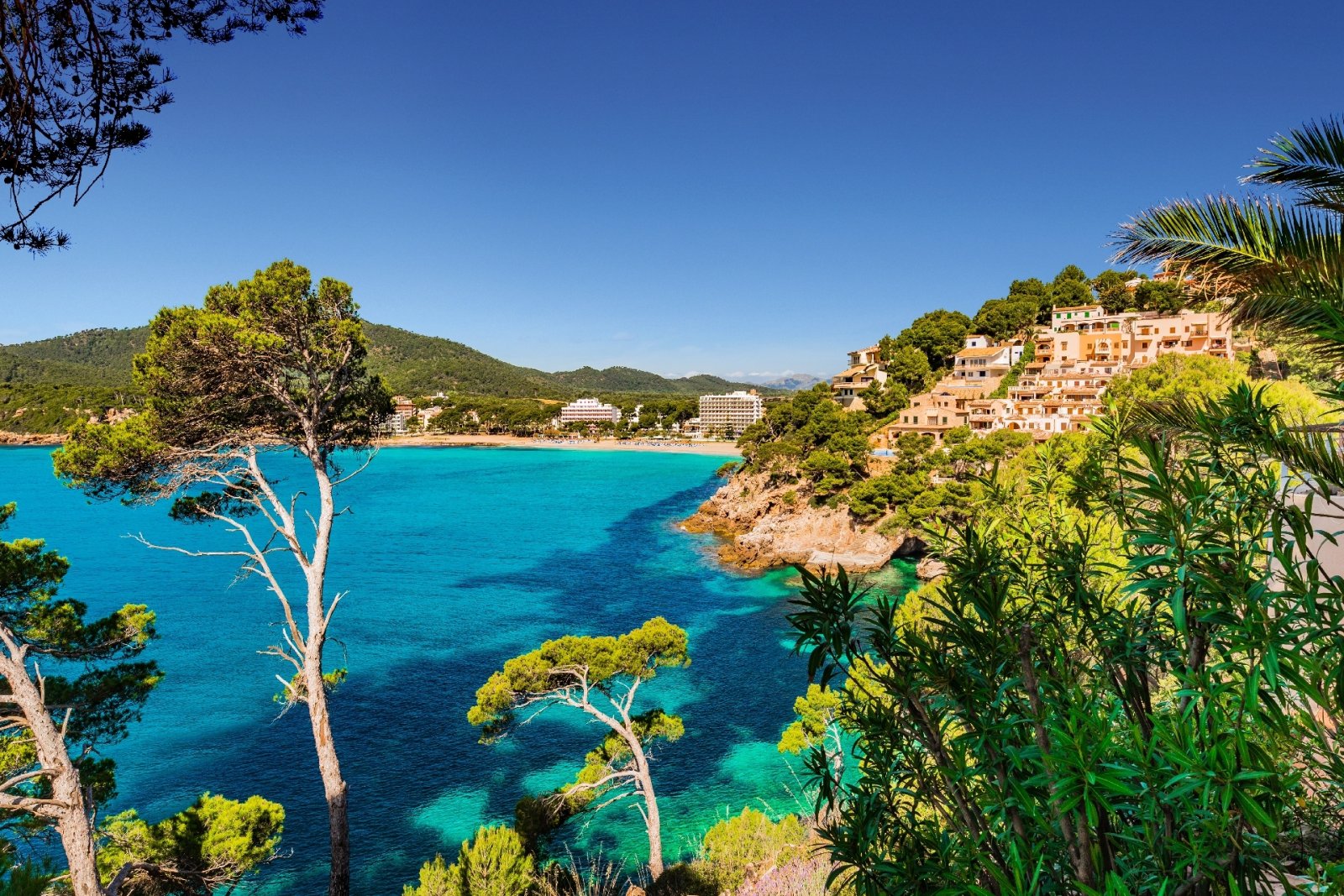 MALLORCA Nordost: Tolle NEUBAU-Apartments und Townhouses