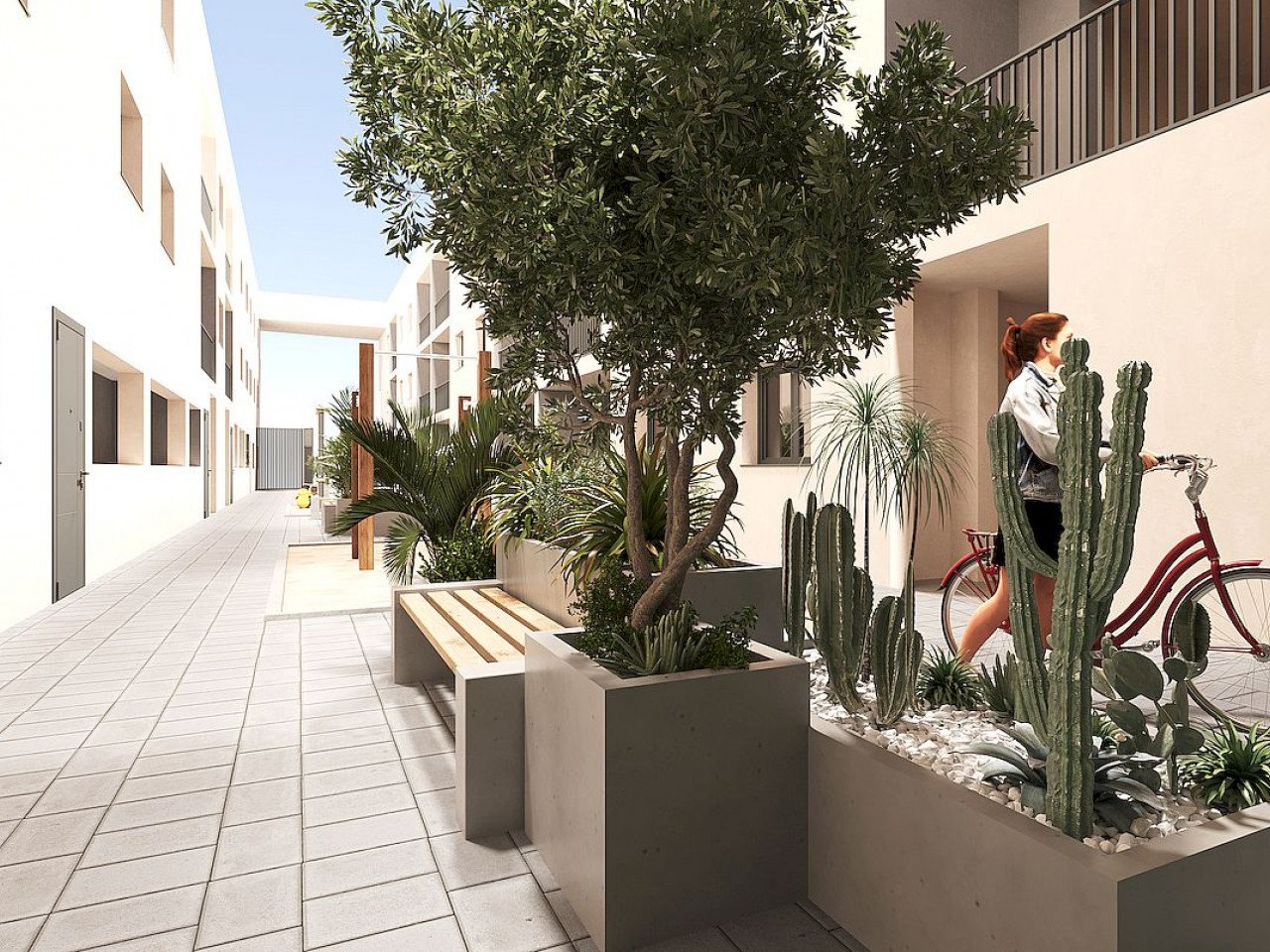 Moderne Neubau-Apartments zentral in San Miguel de Salinas