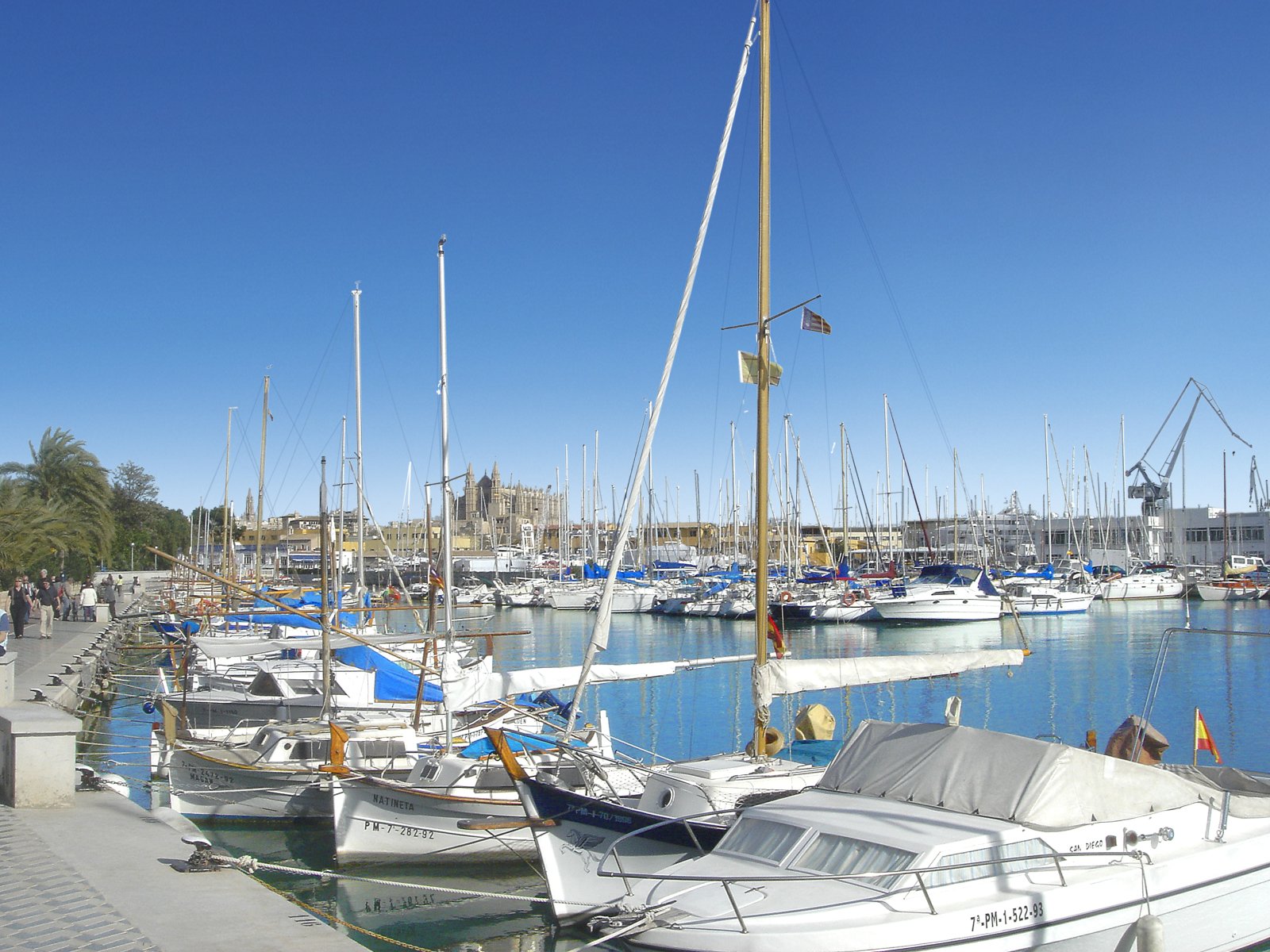 NEU: Exquisite Neubau-Apartments in Palma zentral - Mallorca