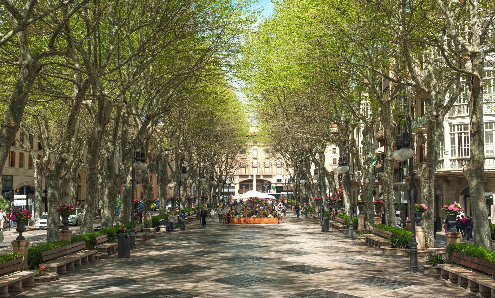 NEU: Exquisite Neubau-Apartments in Palma zentral - Mallorca