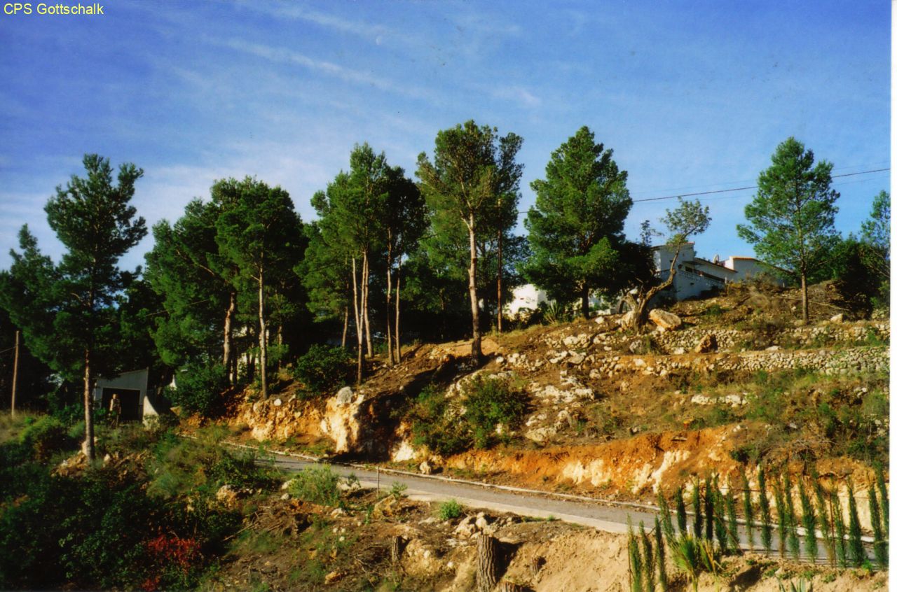 Grundstück von unterhalb 2006